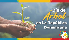 El Ayuntamiento Municipal de Pedernales, junto al alcalde Alfredo Francés, conmemoró este 5 de mayo el Día del Árbol, resaltando la importancia de la conservación de los recursos naturales y la protección del medio ambiente para las futuras generaciones.